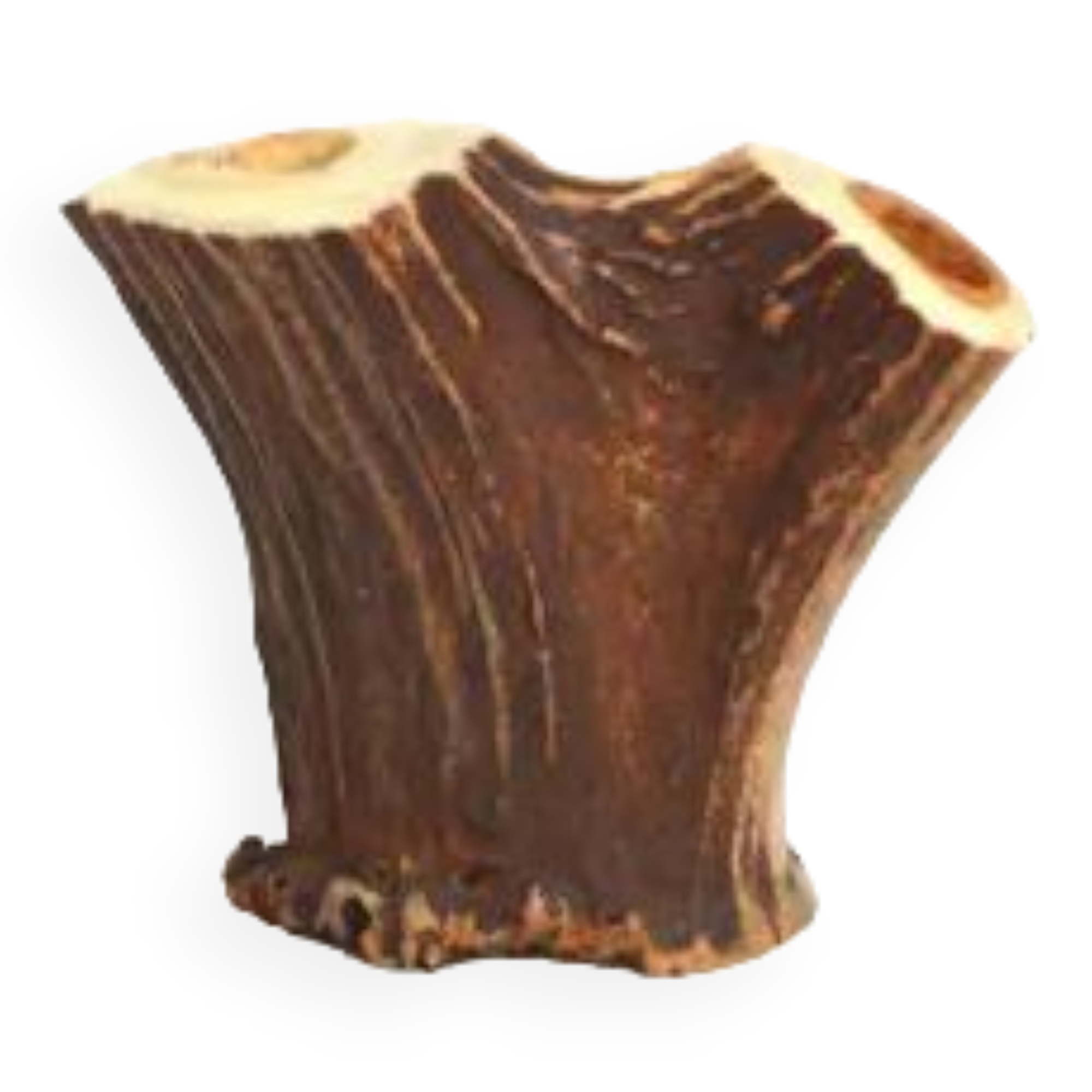 Deer horn vase