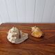 Lot of 2 vintage seashells