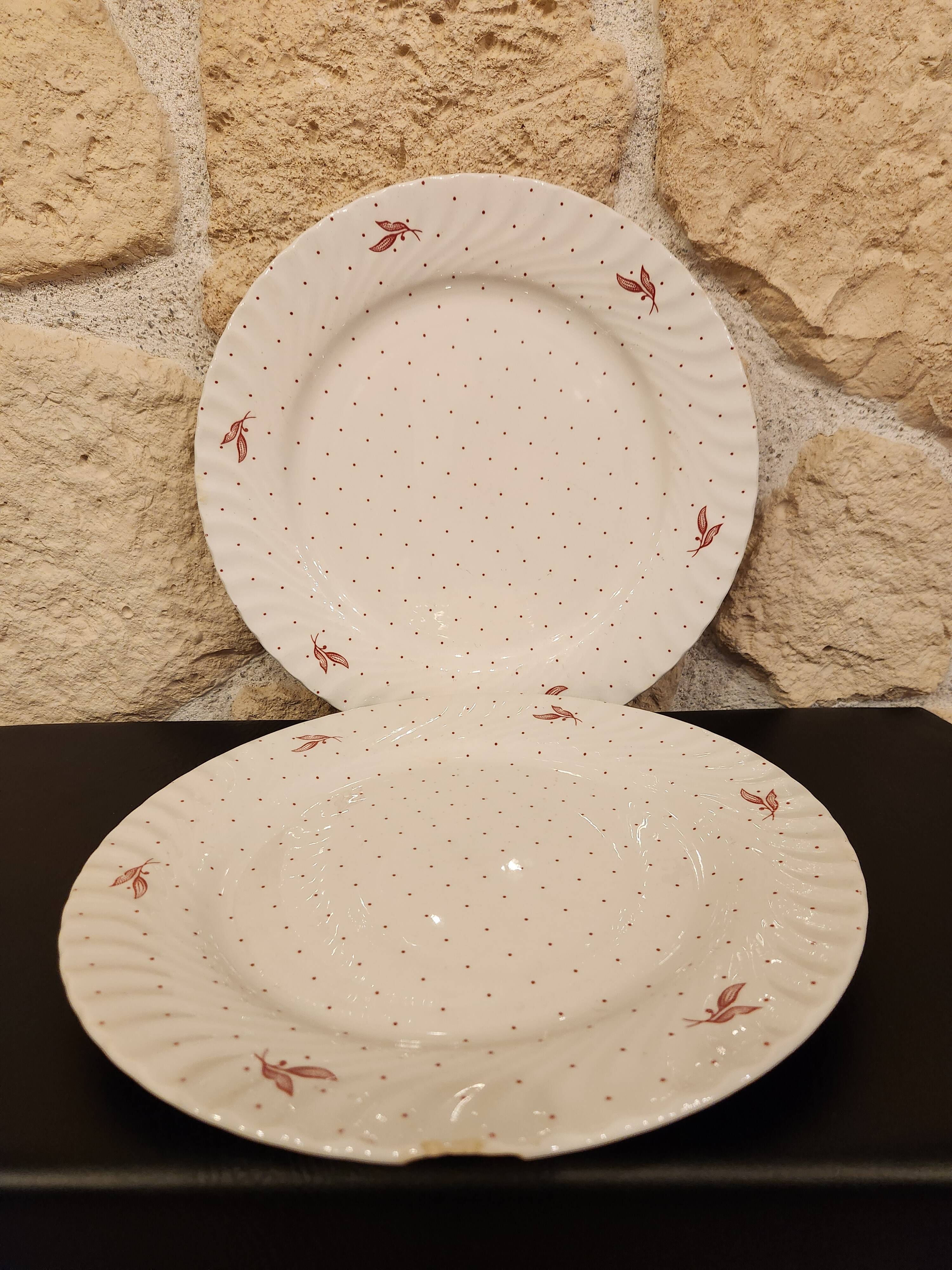 FONTEBASSO 1760 Italian service – complete in its juice