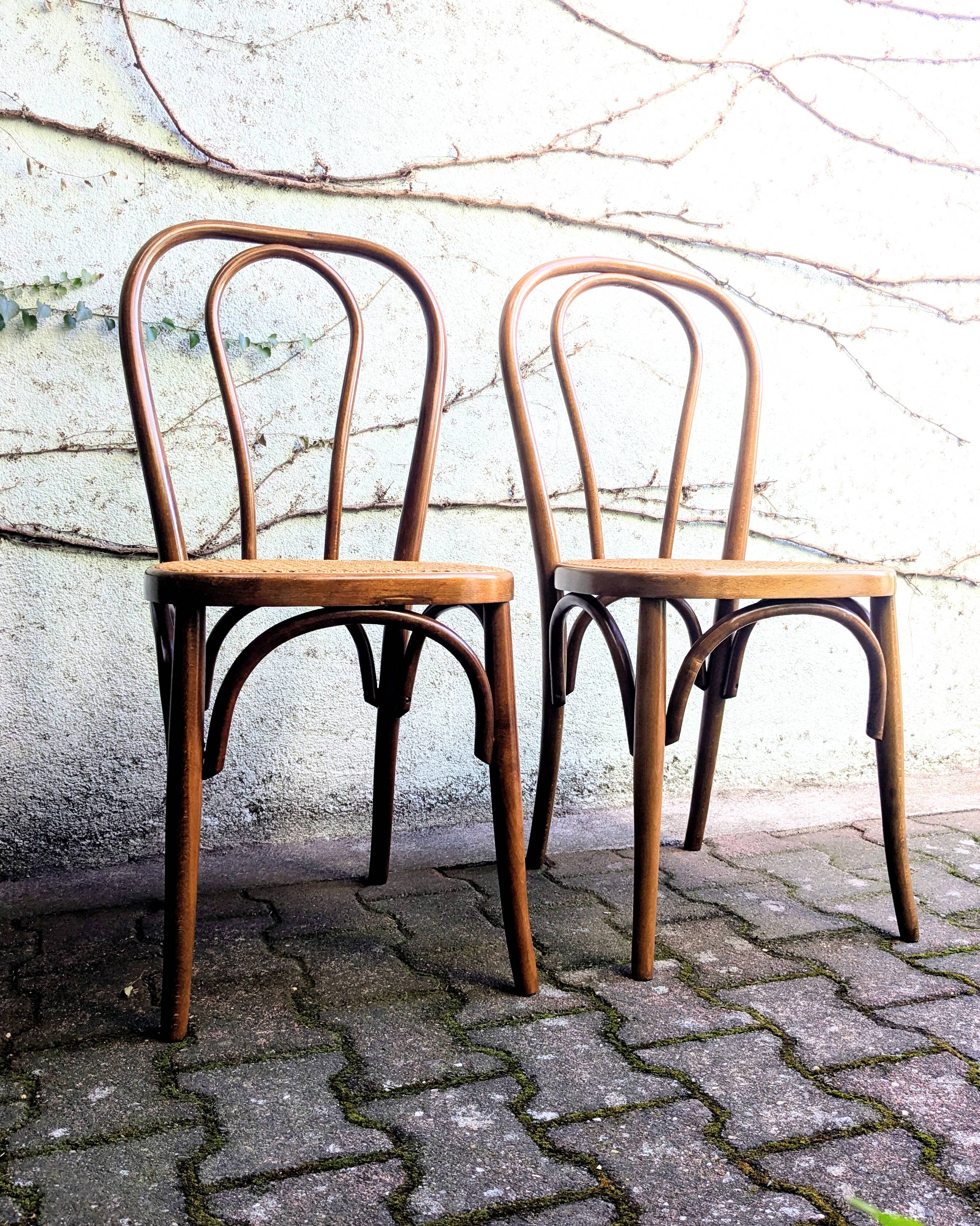 Cane and bentwood chairs