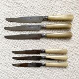 Series of horn knives