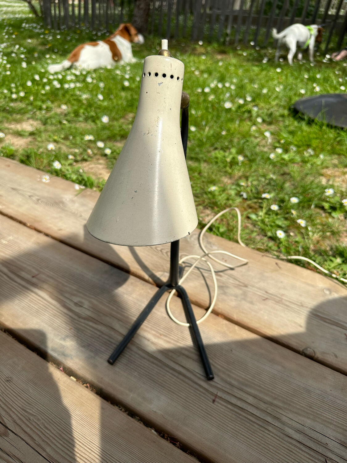 Lamp