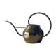 Old brass watering can