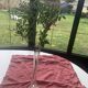 Soliflore vase in pastel pink glass with old art deco facets