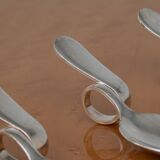 12 cuillères de dégustation en argent de Broggi Milano