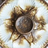 Set of 2 Longchamp oyster plates, vintage shell plates.