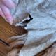 Small sheepskin, raw, brown and beige, authentic
