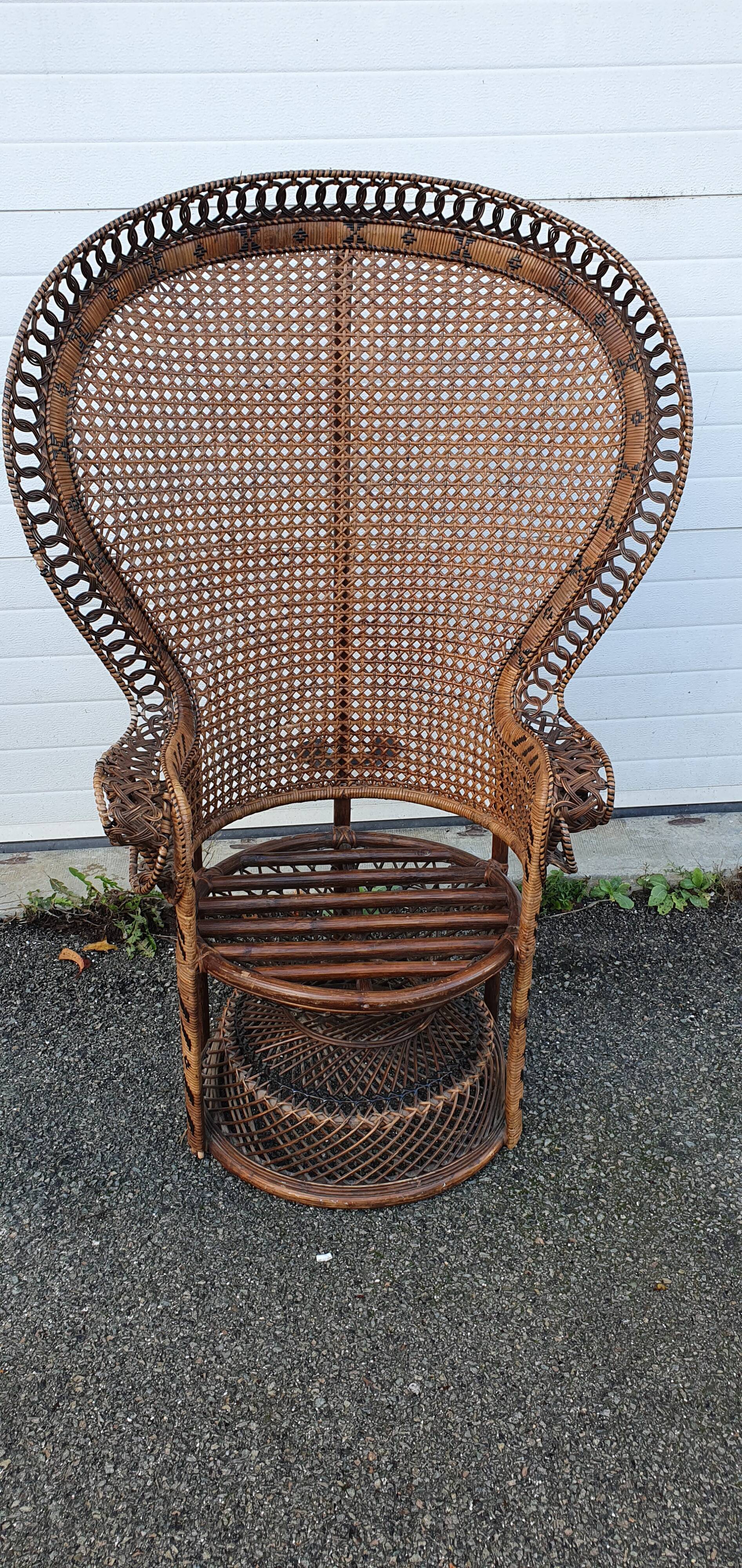 Fauteuil emmanuelle de 1970