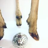 Wild deer skin tripod