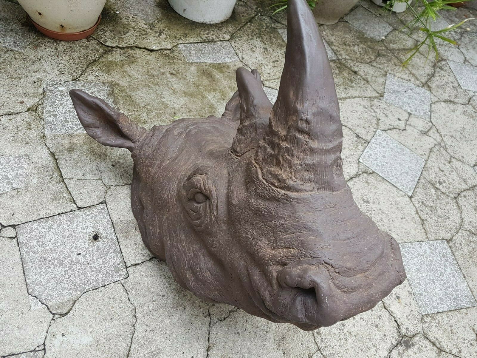 Resin rhino head
