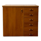 Vintage storage cabinet