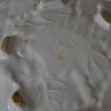 fruit slip drainer cup