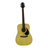 Arizona acoustic guitar