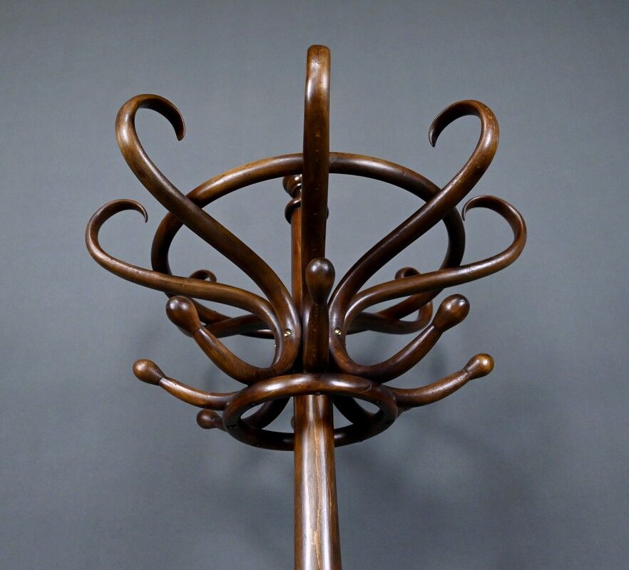 Beech coat rack parrot – early 20th century
