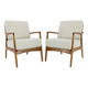 1970s Pair of Restored Armchairs by Drevotvar, Czechoslovakia