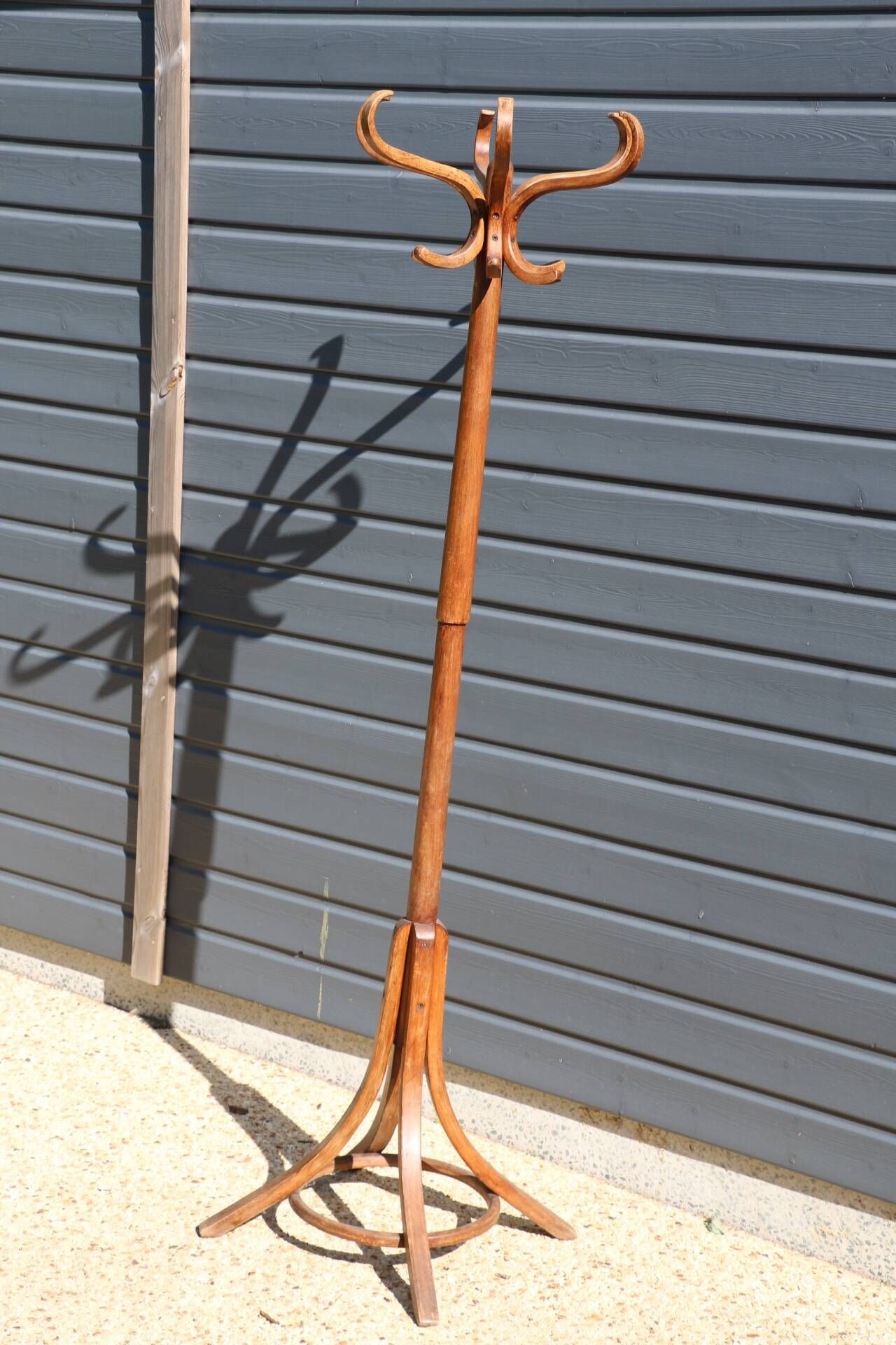Dark baumann parrot coat rack (a6)