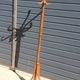 Dark baumann parrot coat rack (a6)