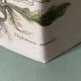 Faceted stoneware bottle signed La Cigogne, floral model (Diplotaxis muralis)