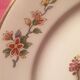 Set of 10 Condé Digoin Sarreguemines dessert plates