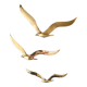 Envolée de 3 mouettes ou hirondelles laiton