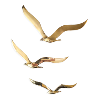 Flight of 3 gulls or brass swallows