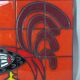 Rooster on vintage enameled ceramic wall plate 50/60s. 50x30cm B667