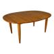 Large Danish Extandable Elm Dining Table, 1990s