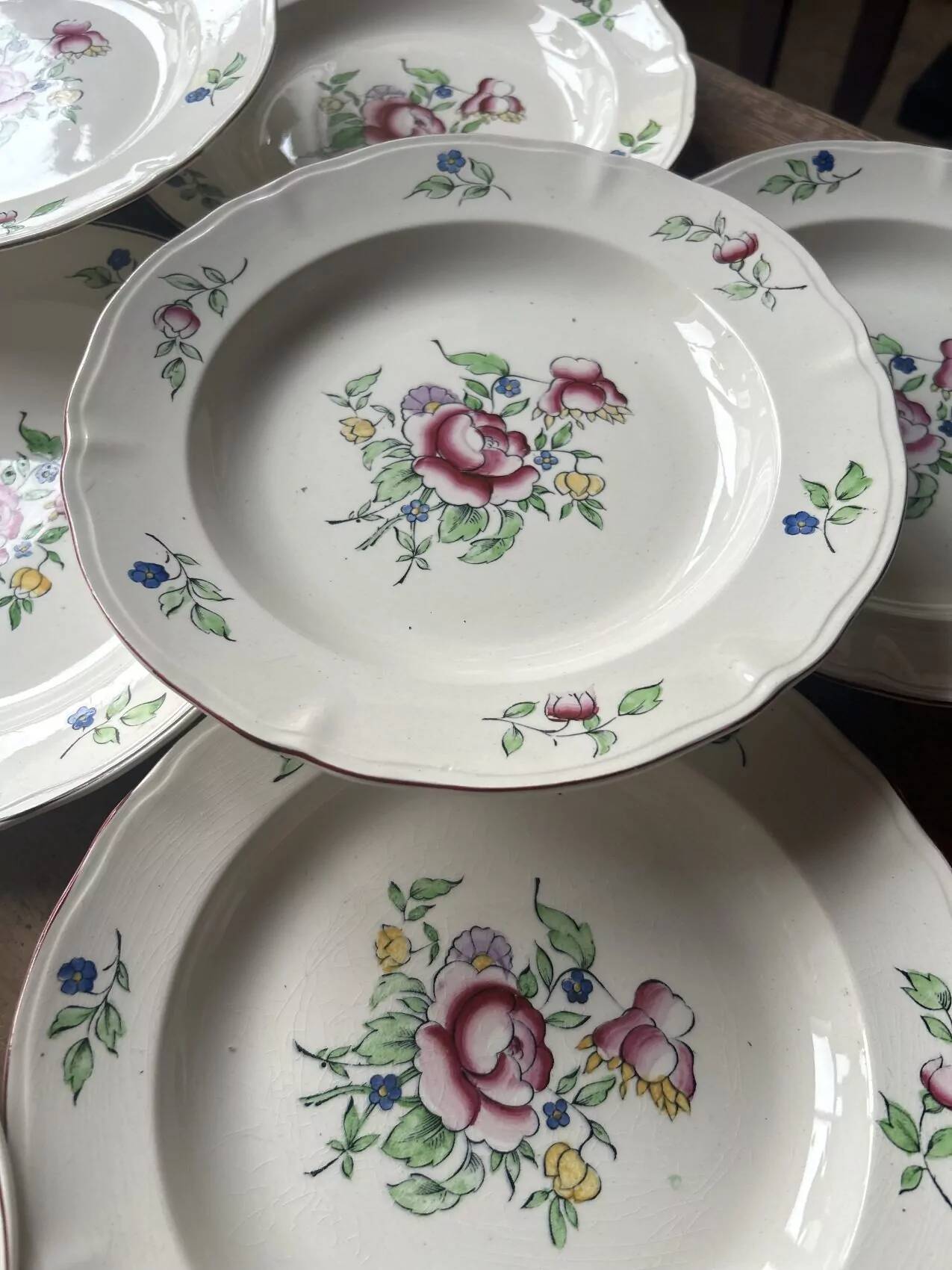 Set of 10 Villeroy & Boch deep plates – bucolic design 24.5 cm