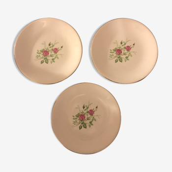 Assiettes en porcelaine à fleurs Pompadour