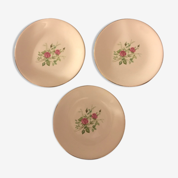 Flower porcelain plates Pompadour