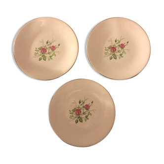 Assiettes en porcelaine à fleurs Pompadour