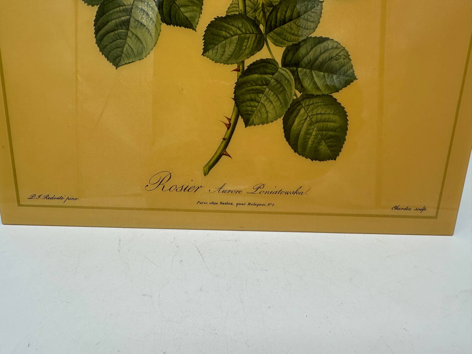 Vintage pink lithograph