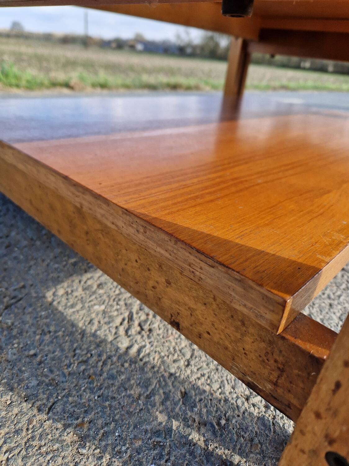 Vintage coffee table by Roger Capron, herbarium model