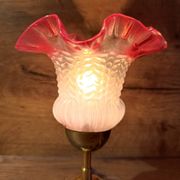 Upcycled vintage pink tulip glass table lamp