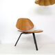 Fauteuil P31 d'Osvaldo Borsani édité par Tecno, 1963