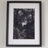 Photograph Abandoned boat black and white