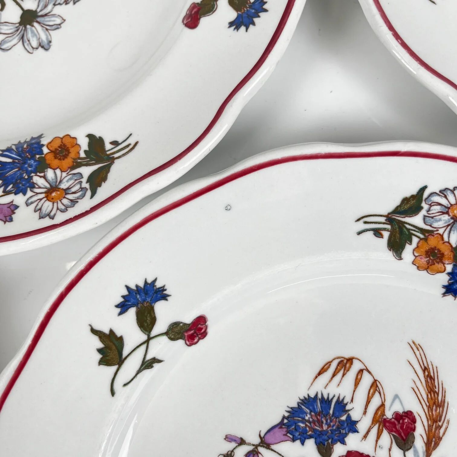 Set of 6 flat plates "Agreste", Sarreguemines, late 20th century, Pyroblan