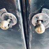 Fuchsia interior workshop cabinet