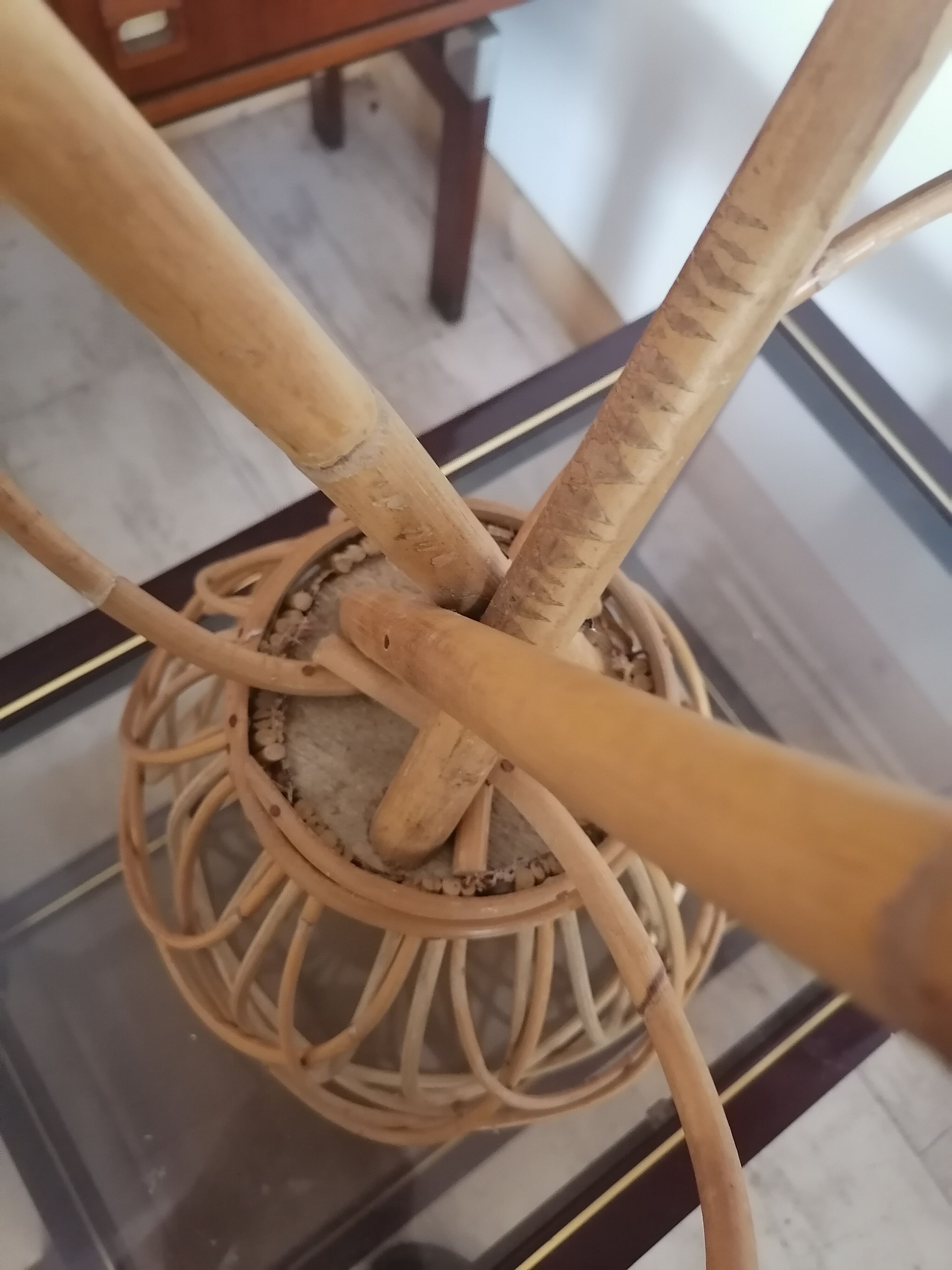 Rest plant rattan wicker 1960 1970