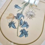 Trio of Frames, Botanical illustration, 30X40cm