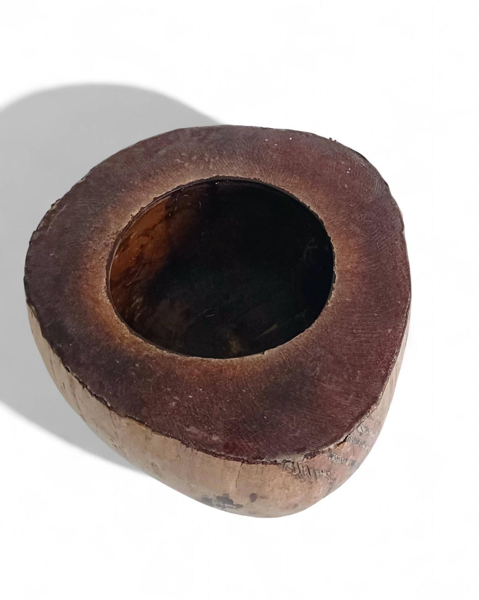 Centre de table Wabi Sabi moderne organique Coco de Mer, sculpté à la main, 19e siècle.