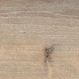 Parisian glazed wardrobe 1930 raw wood