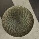 Cake stand on pedestal in glass with peacock feather effect D33 H10
