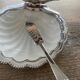 Stainless steel shell butter dish