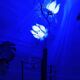 Vintage hollywood regency lotus lamp blue
