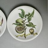 2 plates and 2 small dishes Villeroy & Boch, naturalist decor