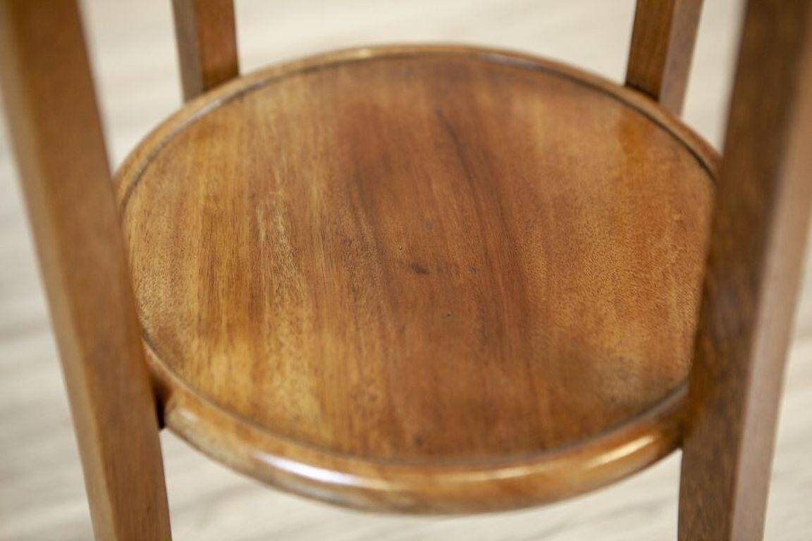 20th Century Mahogany Plant Stand, 1940s