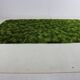Beau tapis vert mélangé