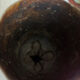 Vase laiton ww1
