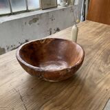 XL thuja root wooden dish